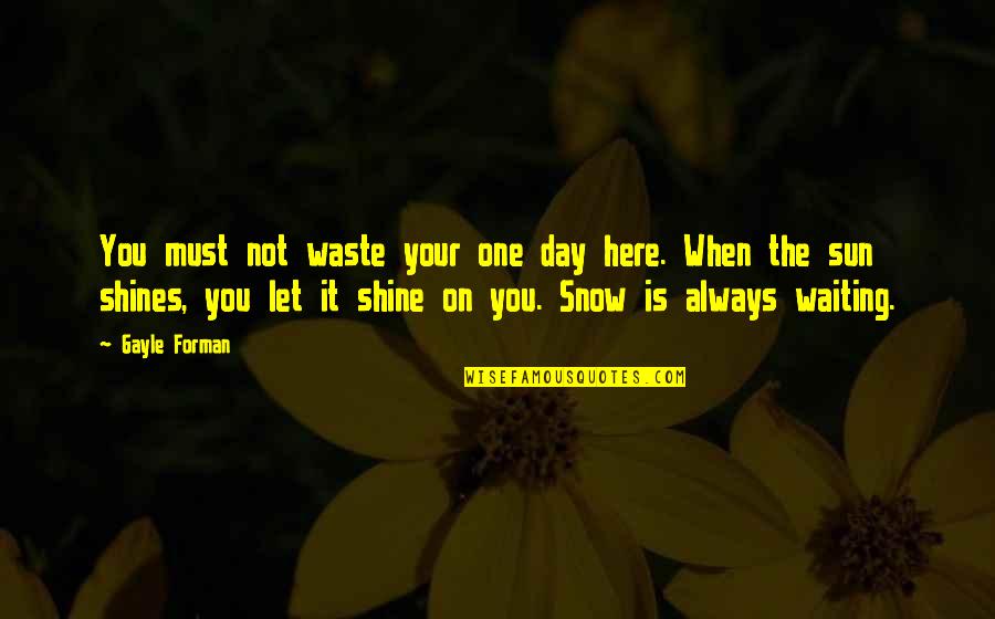 Always Shine Quotes By Gayle Forman: You must not waste your one day here.