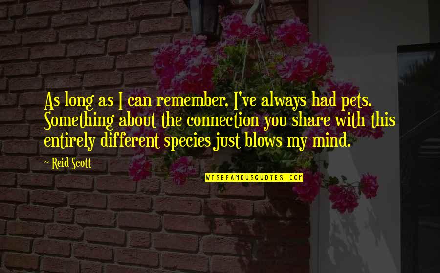 Always Something On My Mind Quotes By Reid Scott: As long as I can remember, I've always