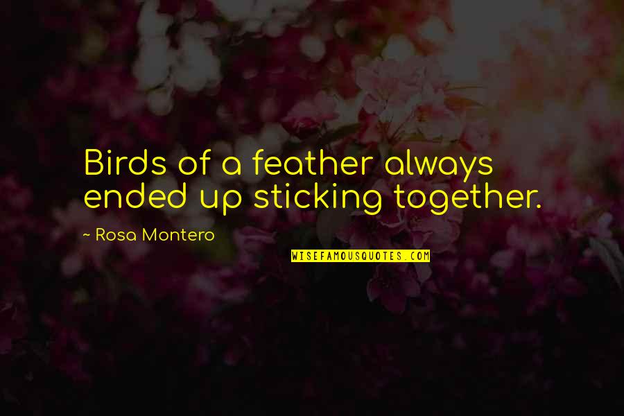Always Sticking Together Quotes By Rosa Montero: Birds of a feather always ended up sticking