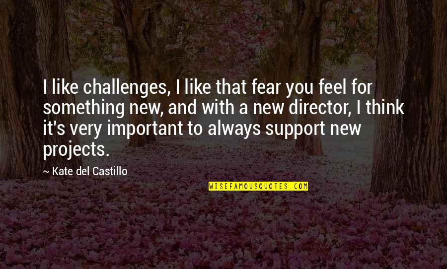 Always Support You Quotes By Kate Del Castillo: I like challenges, I like that fear you Always Support You Quotes By Kate Del Castillo: I like challenges, I like that fear you