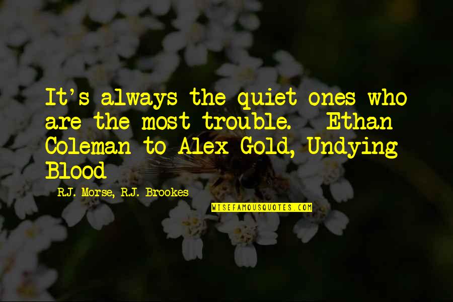 Always The Quiet Ones Quotes By R.J. Morse, R.J. Brookes: It's always the quiet ones who are the