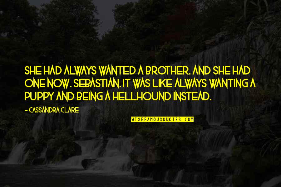 Always Wanting More Quotes By Cassandra Clare: She had always wanted a brother. And she
