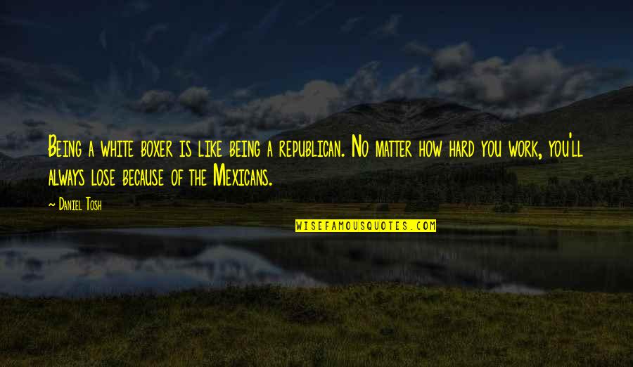 Always Work Hard Quotes By Daniel Tosh: Being a white boxer is like being a Always Work Hard Quotes By Daniel Tosh: Being a white boxer is like being a