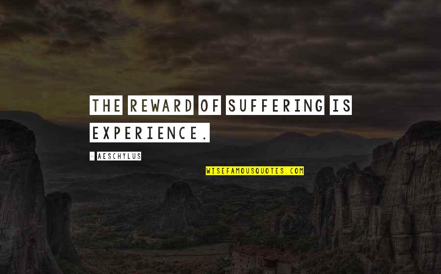 Alwin Schroeder Quotes By Aeschylus: The reward of suffering is experience.