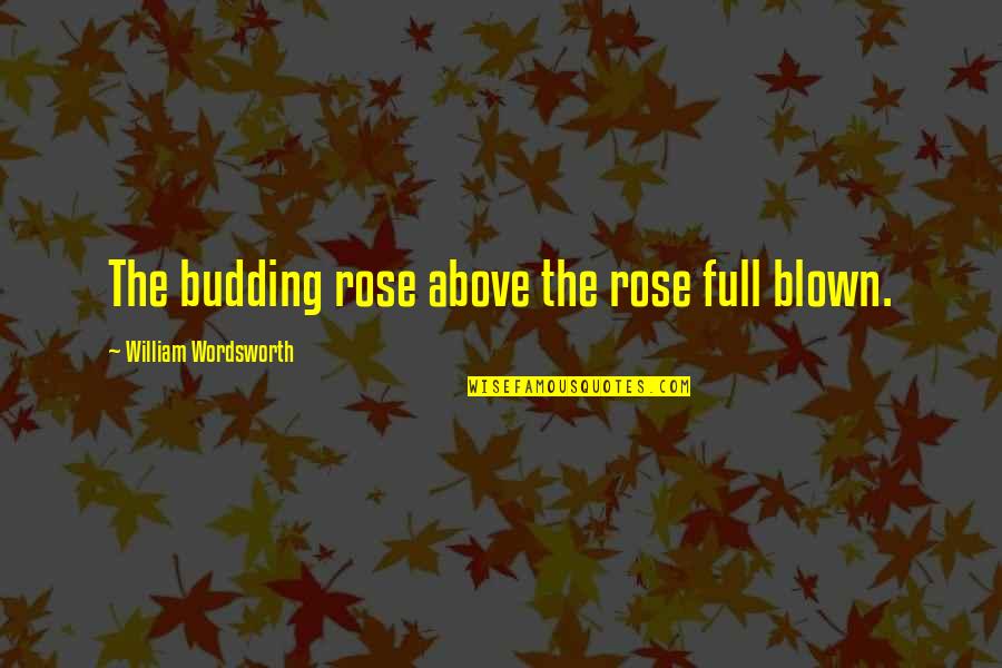 Alyce Anderson Quotes By William Wordsworth: The budding rose above the rose full blown.