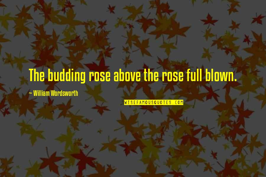 Alyce Anderson Quotes By William Wordsworth: The budding rose above the rose full blown. Alyce Anderson Quotes By William Wordsworth: The budding rose above the rose full blown.