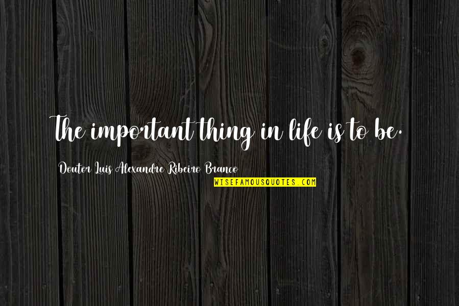 Alyscia Quotes By Doutor Luis Alexandre Ribeiro Branco: The important thing in life is to be.