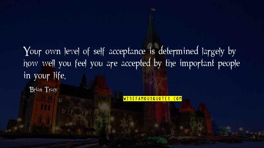 Alysha Newman Quotes By Brian Tracy: Your own level of self-acceptance is determined largely Alysha Newman Quotes By Brian Tracy: Your own level of self-acceptance is determined largely