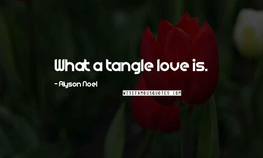 Alyson Noel quotes: What a tangle love is.