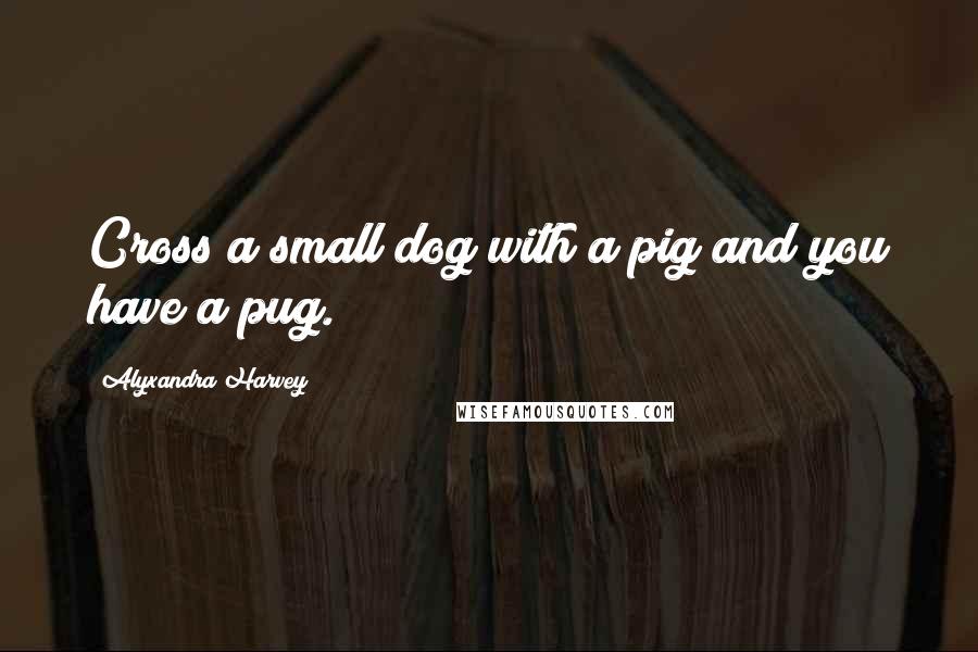 Alyxandra Harvey quotes: Cross a small dog with a pig and you have a pug.