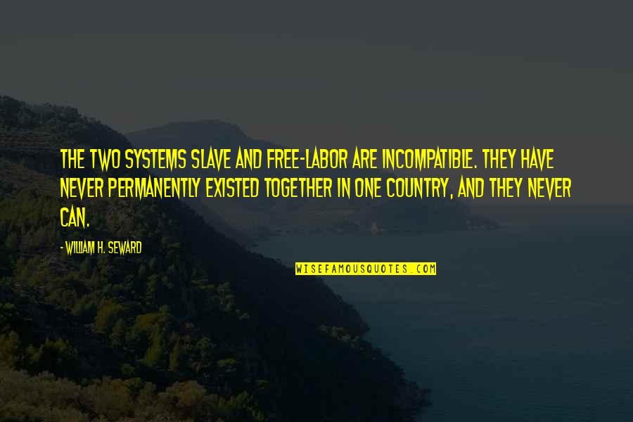 Alzarsi In English Quotes By William H. Seward: The two systems slave and free-labor are incompatible.