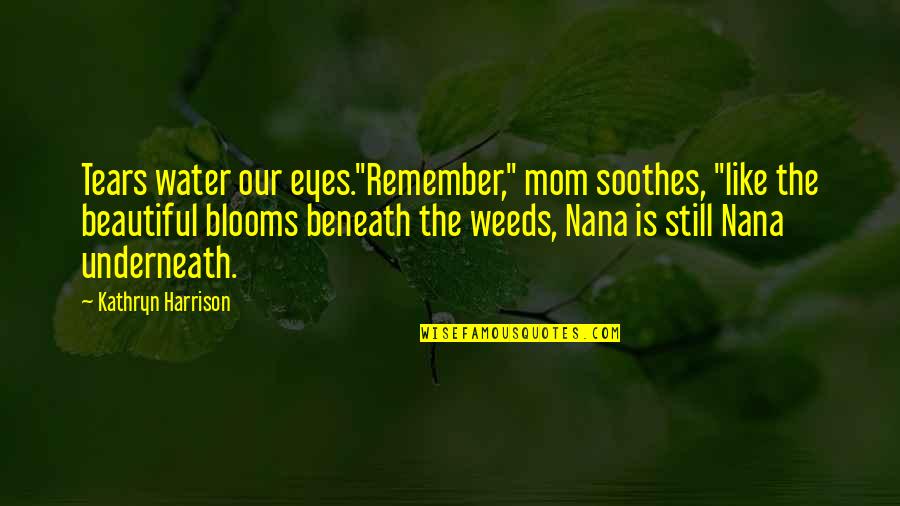 Alzheimer Disease Quotes By Kathryn Harrison: Tears water our eyes."Remember," mom soothes, "like the