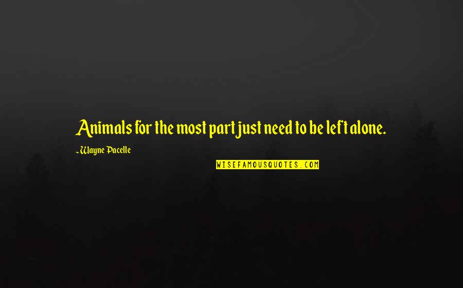 Am All Alone Quotes By Wayne Pacelle: Animals for the most part just need to