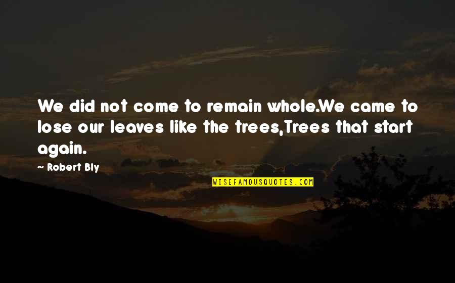 Am Alone Again Quotes By Robert Bly: We did not come to remain whole.We came