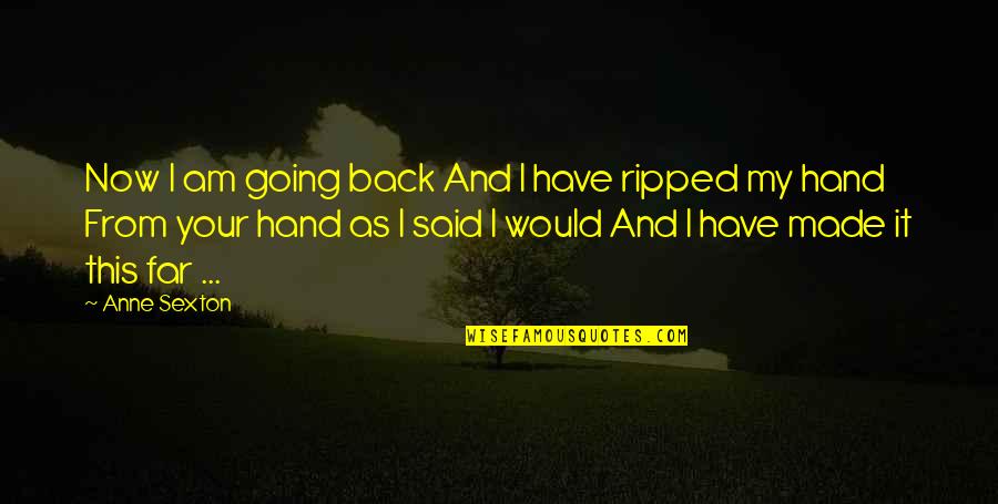 Am Back Quotes By Anne Sexton: Now I am going back And I have Am Back Quotes By Anne Sexton: Now I am going back And I have