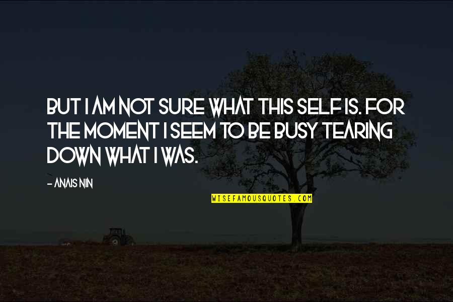 Am Busy Quotes By Anais Nin: But I am not sure what this self