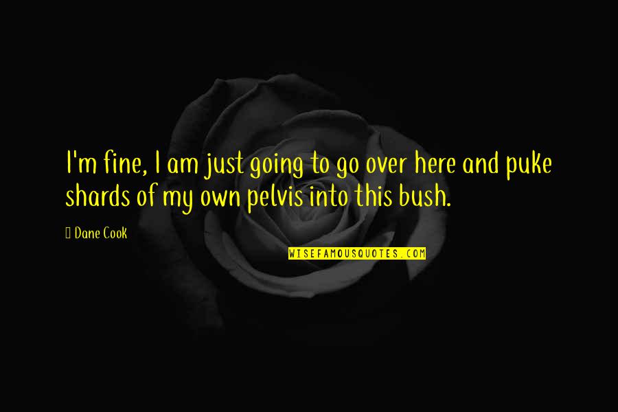 Am Fine Quotes By Dane Cook: I'm fine, I am just going to go Am Fine Quotes By Dane Cook: I'm fine, I am just going to go