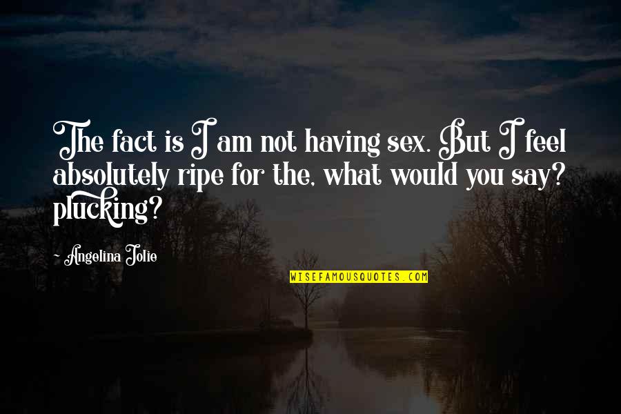 Am For You Quotes By Angelina Jolie: The fact is I am not having sex.