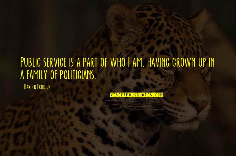 Am Grown Up Quotes By Harold Ford Jr.: Public service is a part of who I