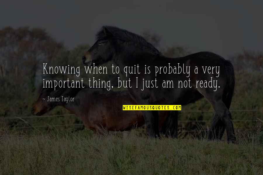 Am I Important Quotes By James Taylor: Knowing when to quit is probably a very