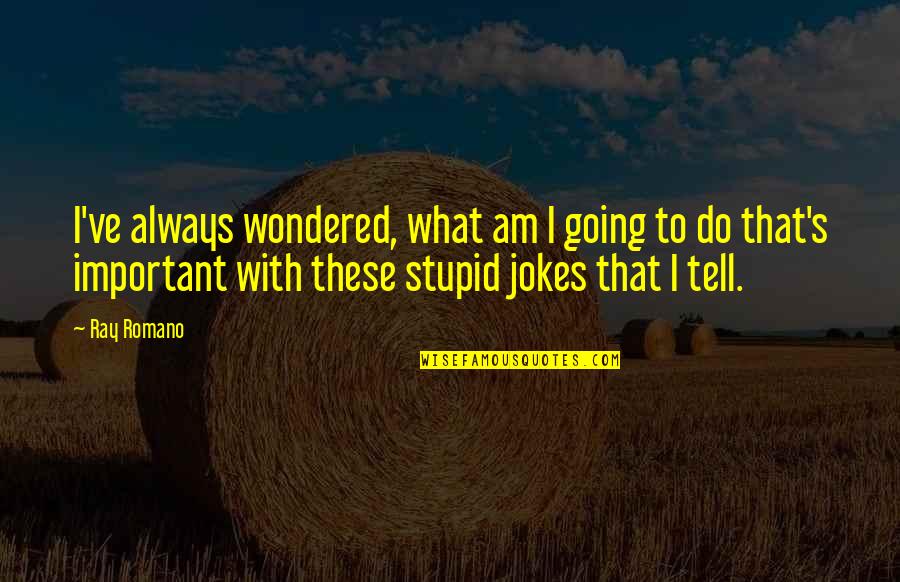 Am I Important Quotes By Ray Romano: I've always wondered, what am I going to Am I Important Quotes By Ray Romano: I've always wondered, what am I going to