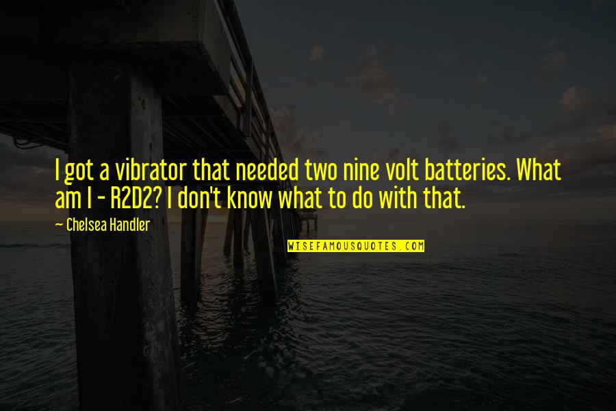 Am I Quotes By Chelsea Handler: I got a vibrator that needed two nine