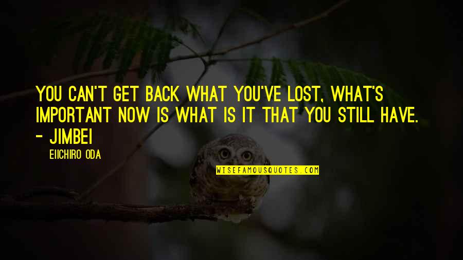 Am I Still Important To You Quotes By Eiichiro Oda: You can't get back what you've lost, What's