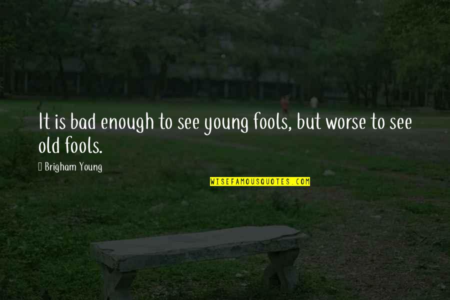 Am I Too Bad Quotes By Brigham Young: It is bad enough to see young fools,