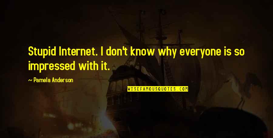 Am Impressed Quotes By Pamela Anderson: Stupid Internet. I don't know why everyone is