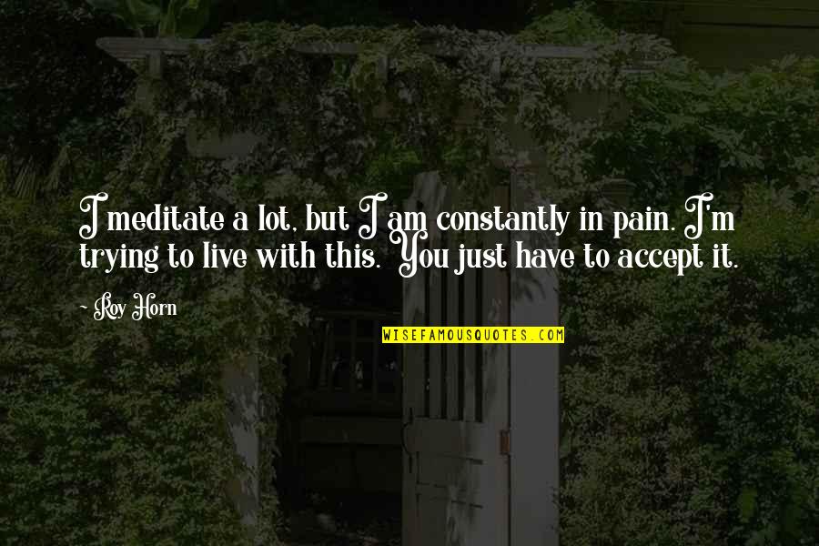 Am In Pain Quotes By Roy Horn: I meditate a lot, but I am constantly