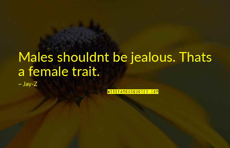 Am Jealous Quotes By Jay-Z: Males shouldnt be jealous. Thats a female trait.