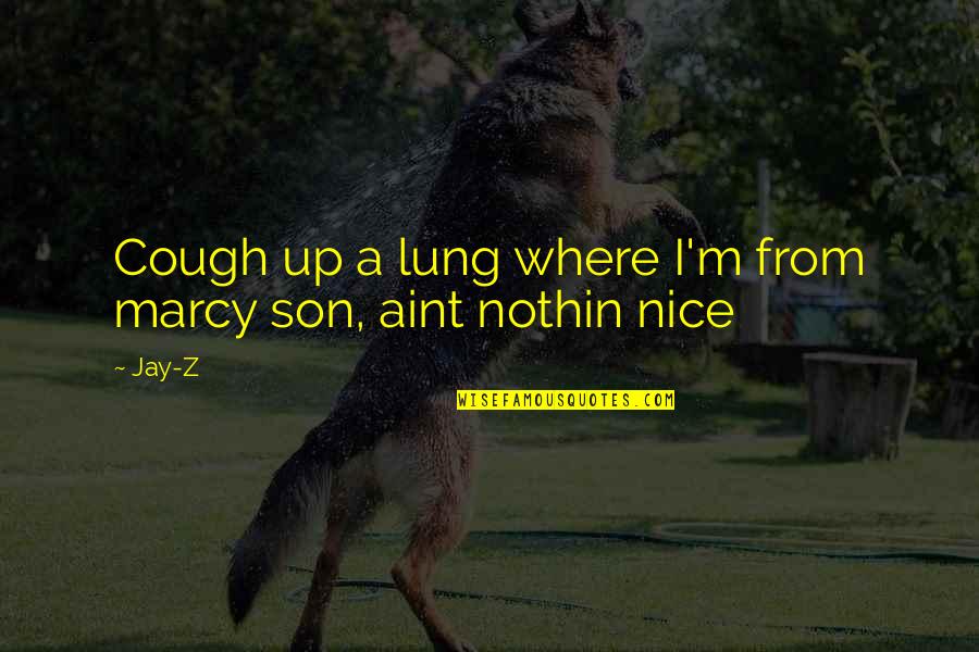 Am Lung Quotes By Jay-Z: Cough up a lung where I'm from marcy