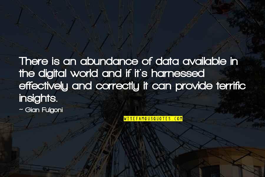 Am Not Available Quotes By Gian Fulgoni: There is an abundance of data available in