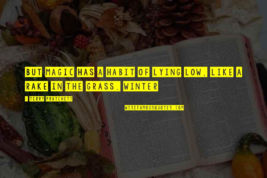 Am Not Lying Quotes By Terry Pratchett: But magic has a habit of lying low, Am Not Lying Quotes By Terry Pratchett: But magic has a habit of lying low,