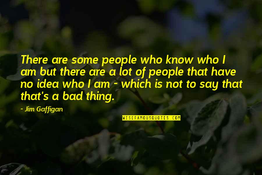 Am Not That Bad Quotes By Jim Gaffigan: There are some people who know who I