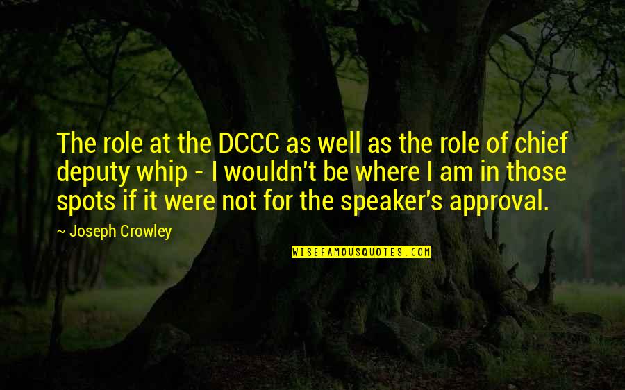 Am Not Well Quotes By Joseph Crowley: The role at the DCCC as well as