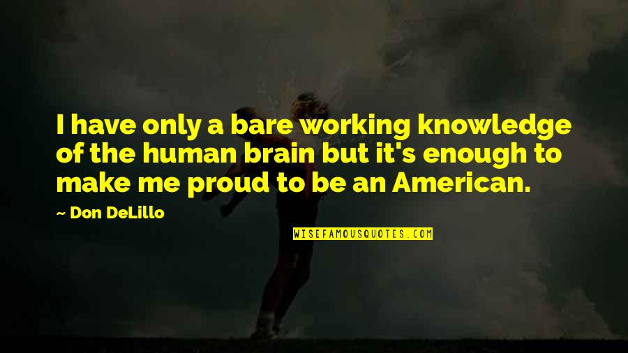 Am Proud Of Me Quotes By Don DeLillo: I have only a bare working knowledge of Am Proud Of Me Quotes By Don DeLillo: I have only a bare working knowledge of
