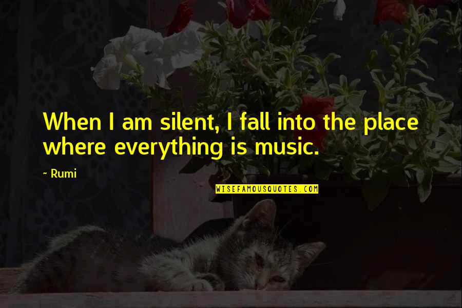 Am Silent Quotes By Rumi: When I am silent, I fall into the