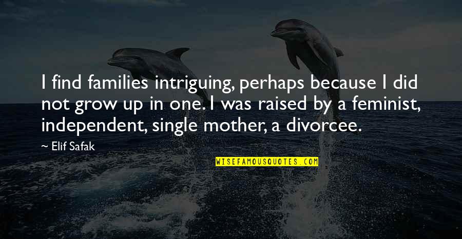 Am Single Because Quotes By Elif Safak: I find families intriguing, perhaps because I did