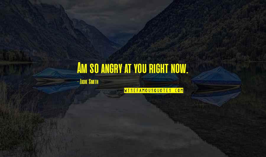 Am So Angry Quotes By Zadie Smith: Am so angry at you right now. Am So Angry Quotes By Zadie Smith: Am so angry at you right now.