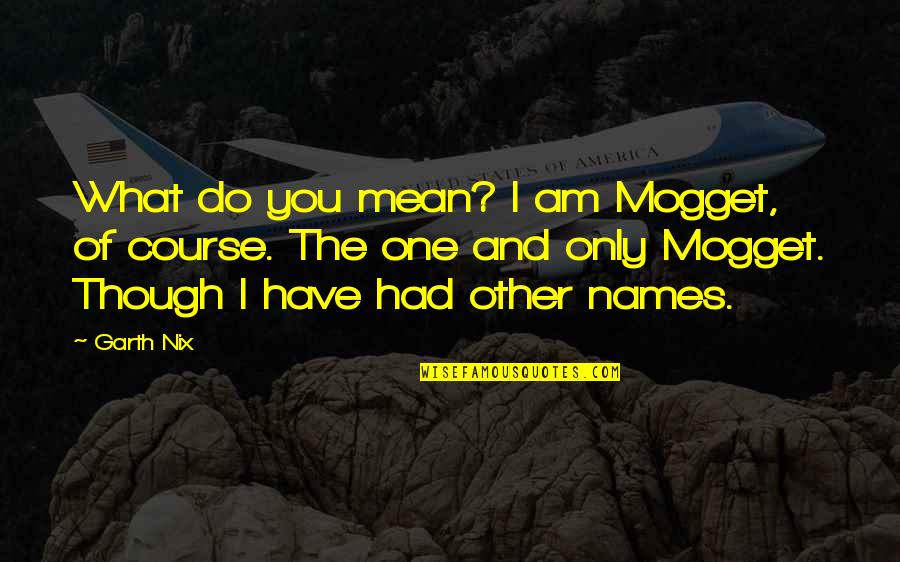 Am The Only One Quotes By Garth Nix: What do you mean? I am Mogget, of