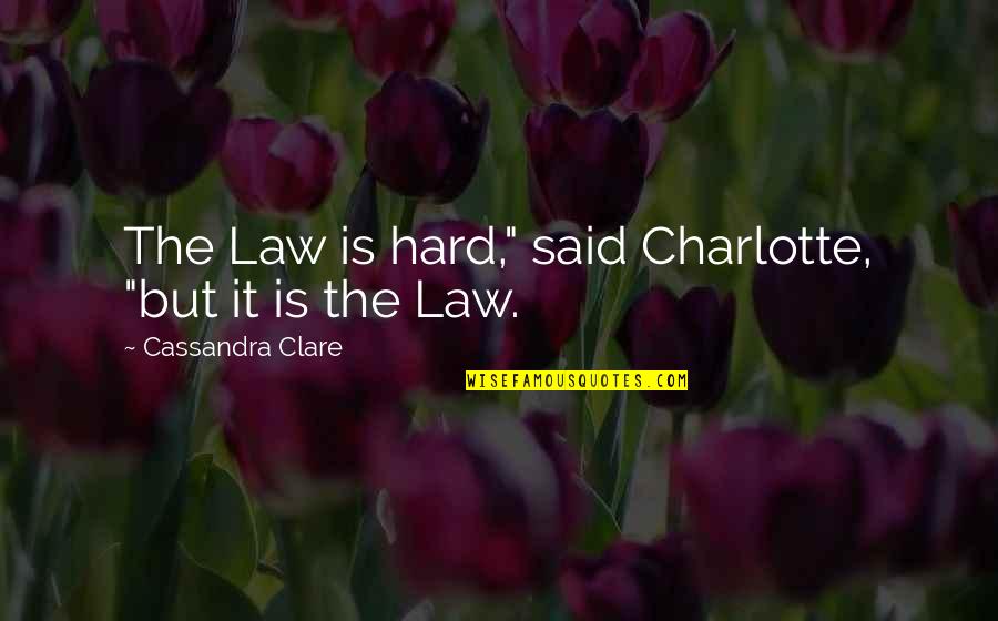 Am Truly Sorry Quotes By Cassandra Clare: The Law is hard," said Charlotte, "but it