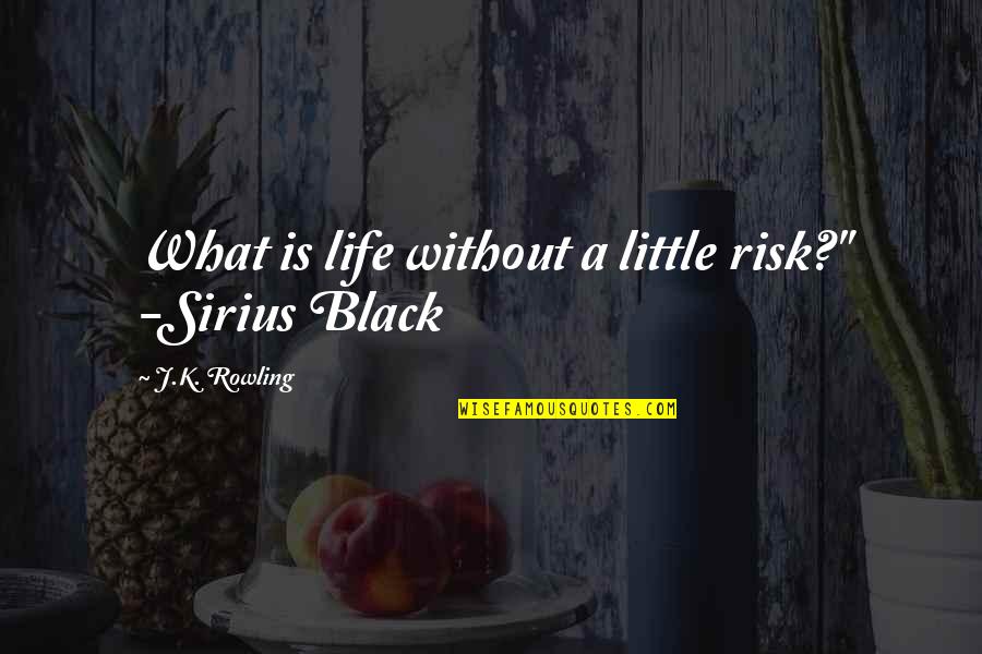 Am Truly Sorry Quotes By J.K. Rowling: What is life without a little risk?" -Sirius