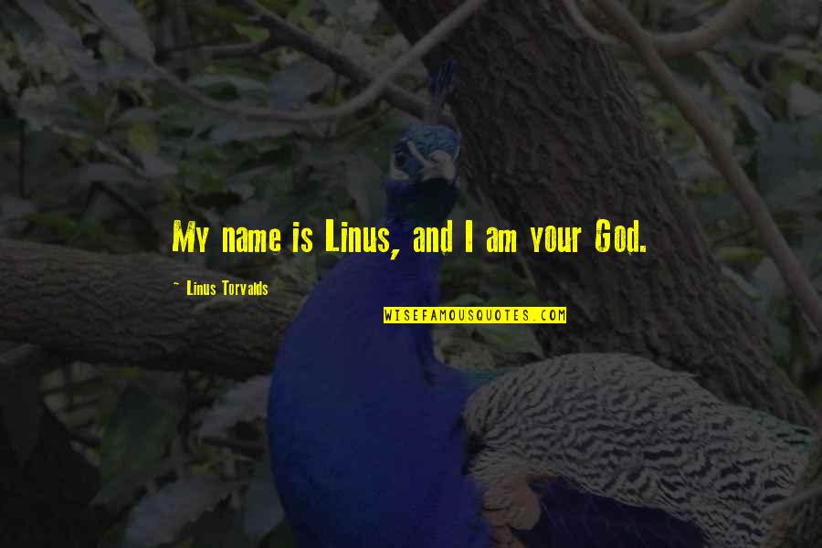 Am Your Quotes By Linus Torvalds: My name is Linus, and I am your
