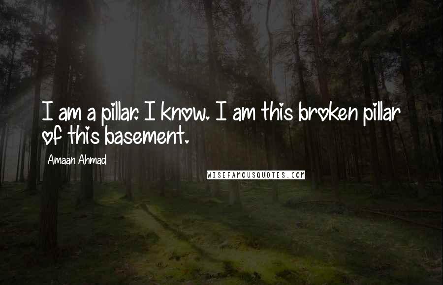 Amaan Ahmad quotes: I am a pillar. I know. I am this broken pillar of this basement.