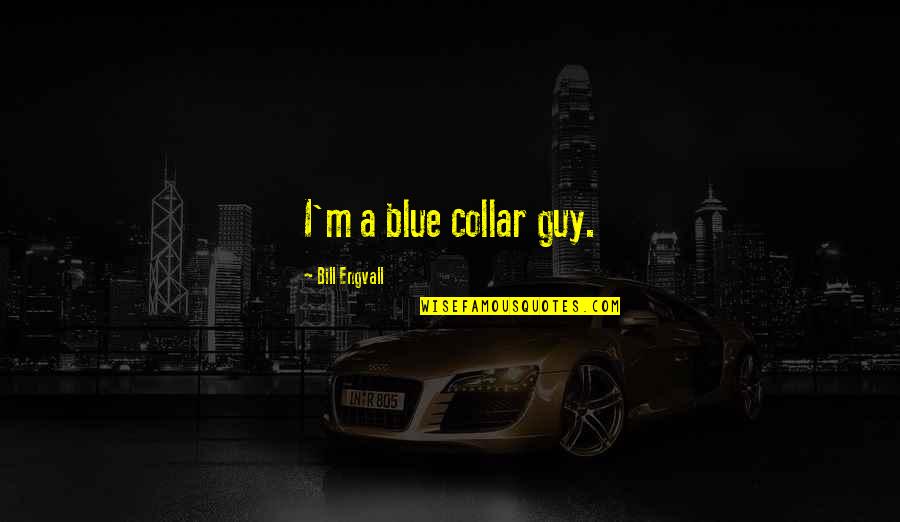 Amabamos Quotes By Bill Engvall: I'm a blue collar guy.