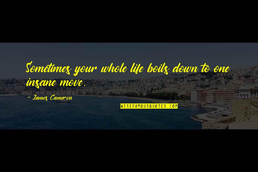 Amabilis Mountain Quotes By James Cameron: Sometimes your whole life boils down to one Amabilis Mountain Quotes By James Cameron: Sometimes your whole life boils down to one