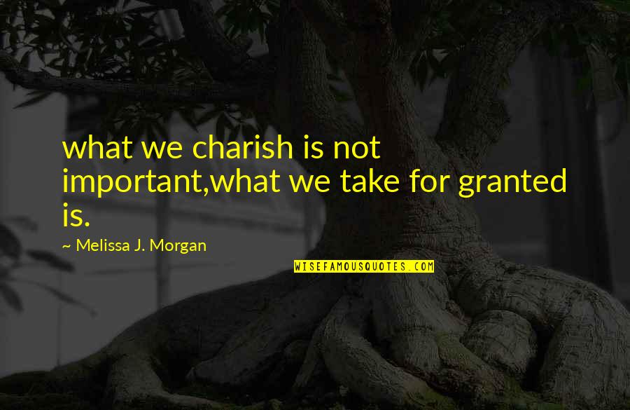 Amable Quotes By Melissa J. Morgan: what we charish is not important,what we take