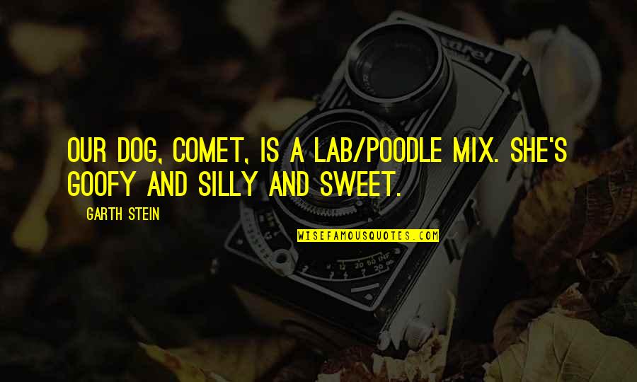 Amadeus System Quotes By Garth Stein: Our dog, Comet, is a Lab/poodle mix. She's