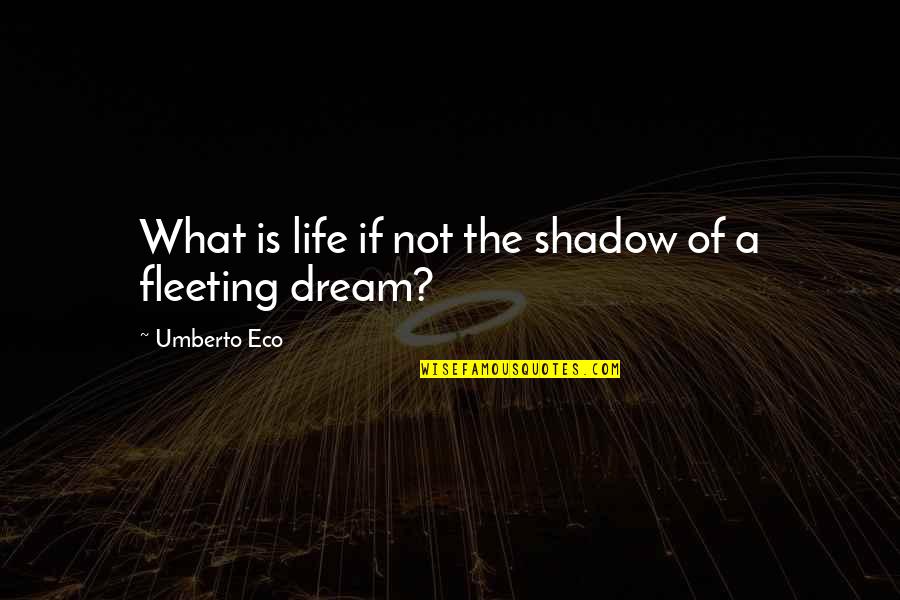 Amadou Diallo Quotes By Umberto Eco: What is life if not the shadow of